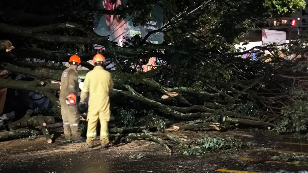 Foto 22 de 67 — TEMPORAL EM FOTOS: veja imagens de destruição em Araraquara